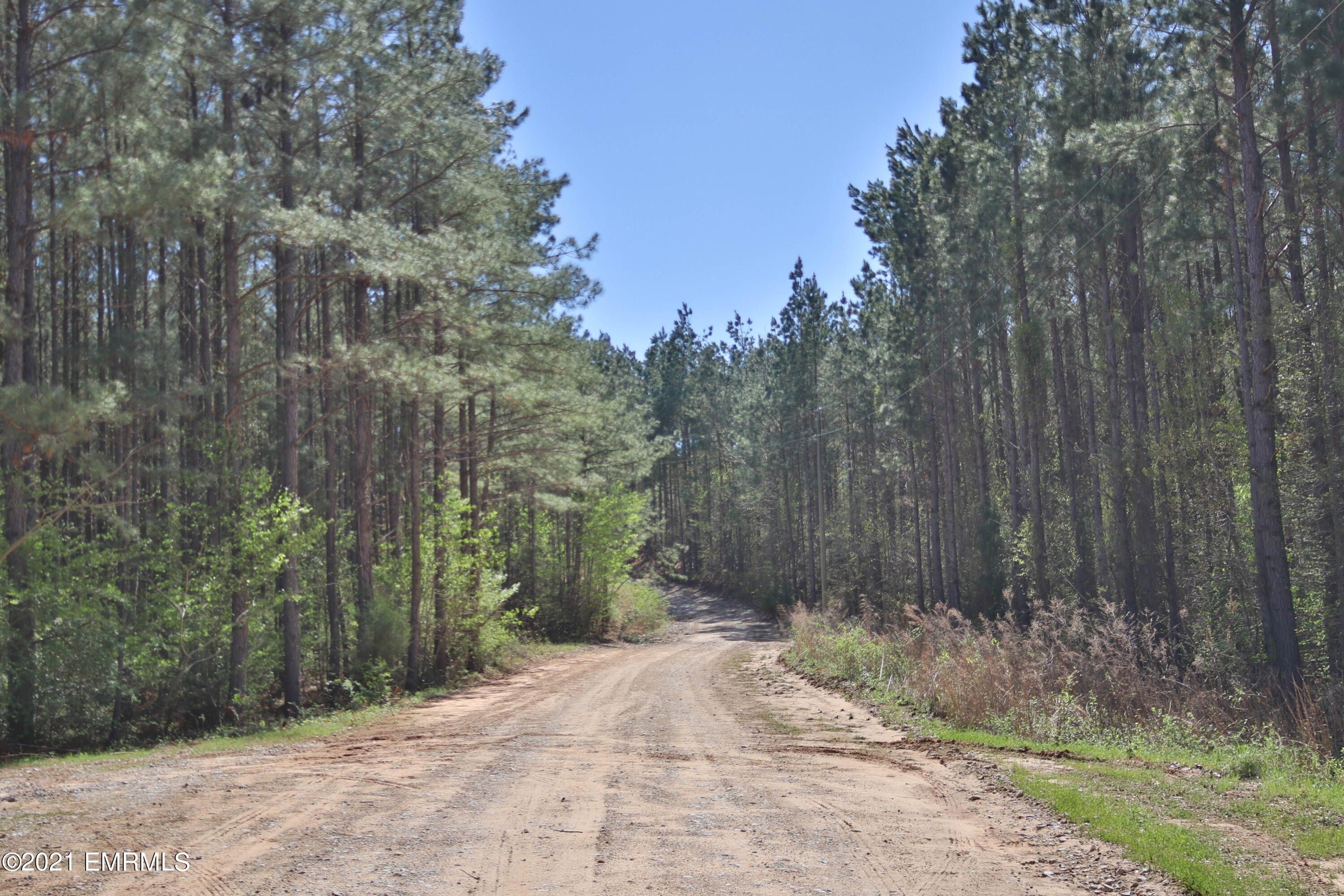 73 acres in Lauderdale County, Mississippi