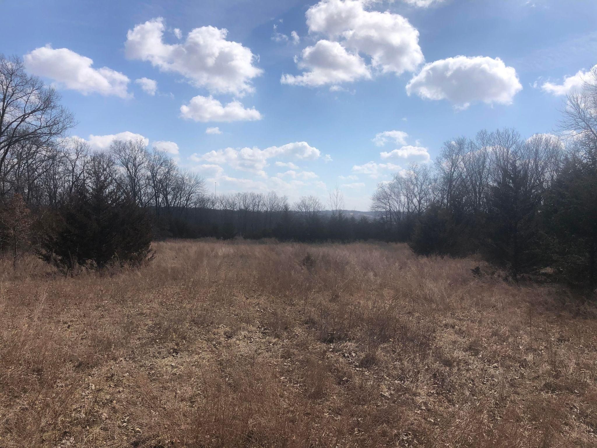 40 acres in Sullivan County, Missouri
