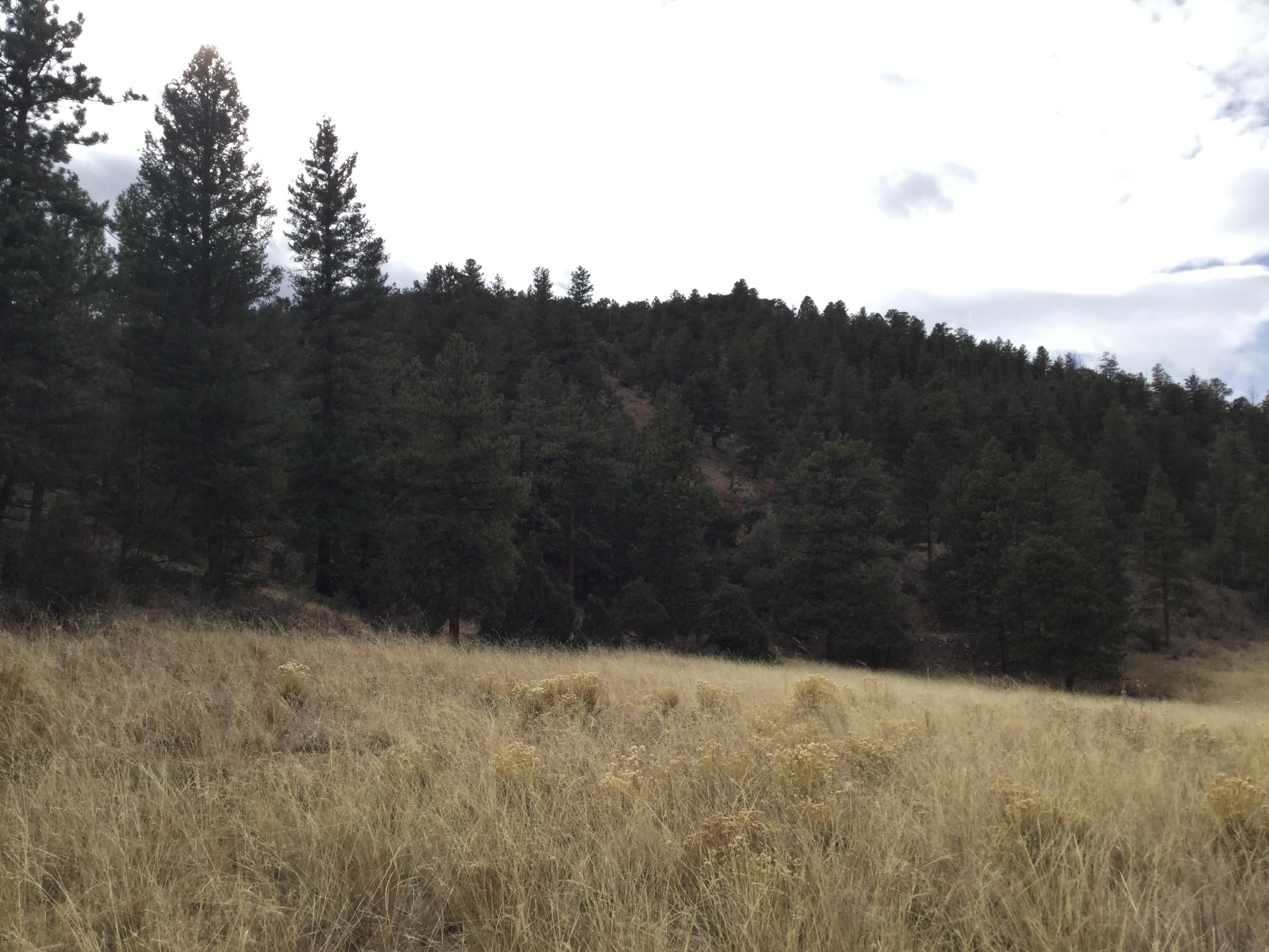 61.98 acres in Chaffee County, Colorado