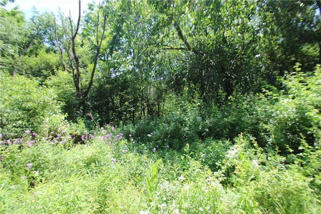 5.15 acres in Cattaraugus County, New York
