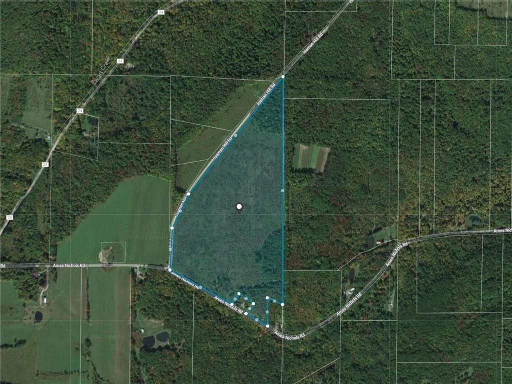79.4 acres in Allegany County, New York