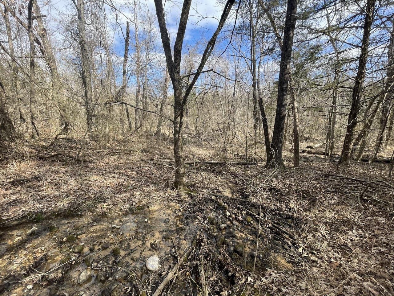 5 acres in Izard County, Arkansas