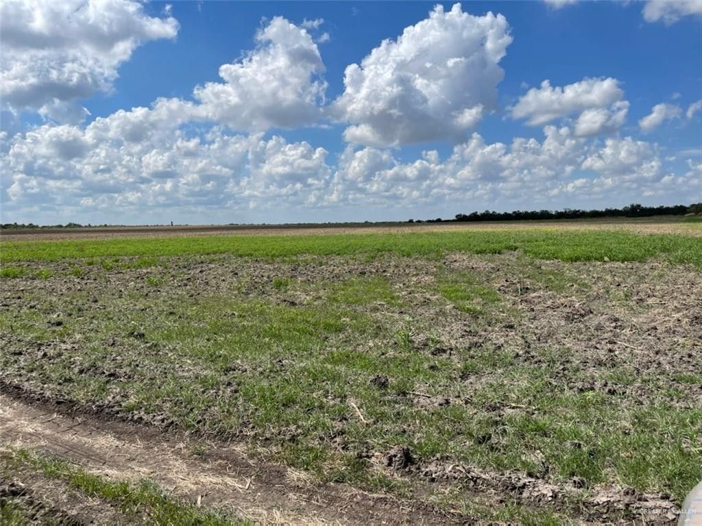 40 acres in Hidalgo County, Texas