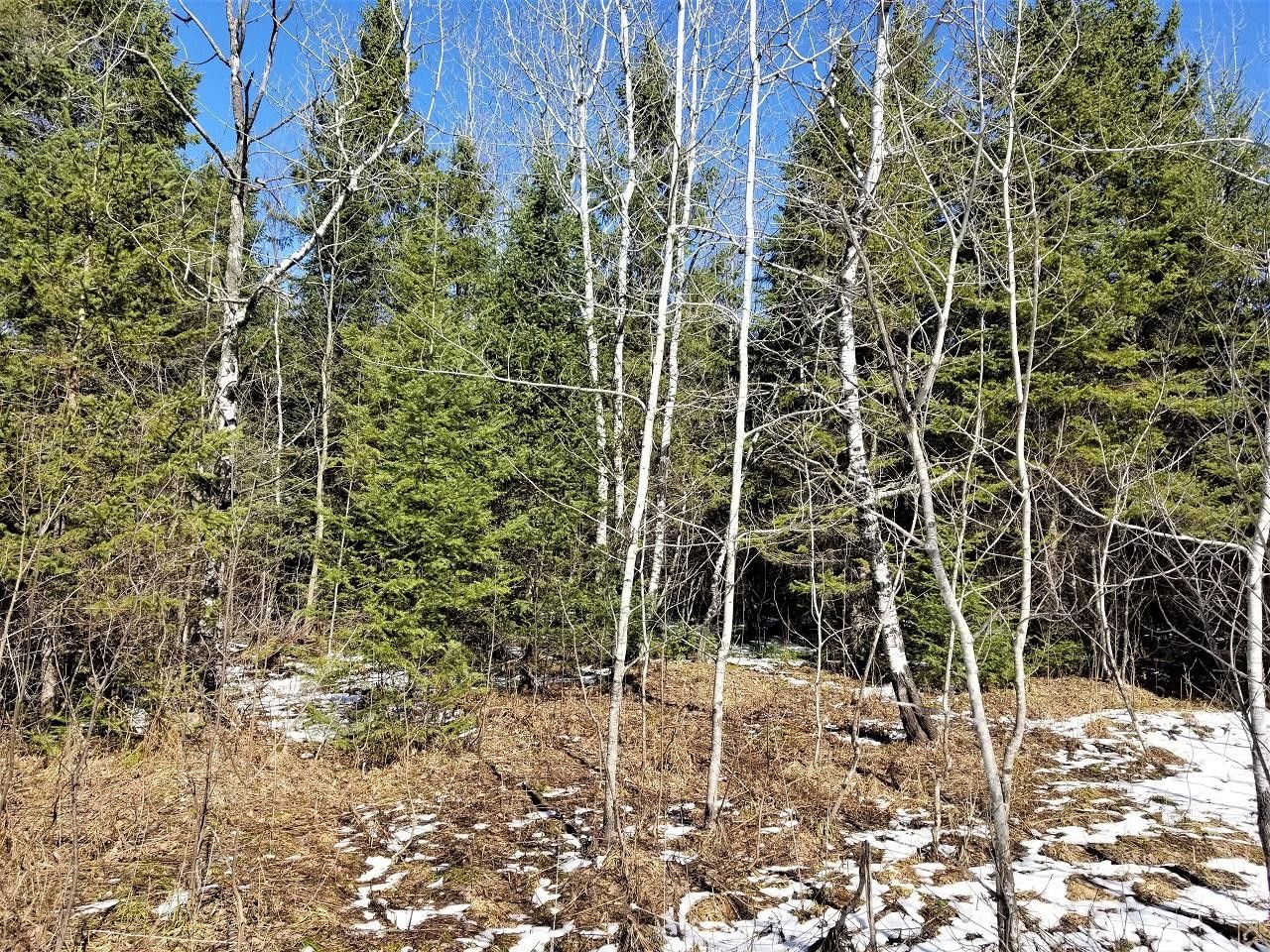 40 acres in Iron County, Wisconsin