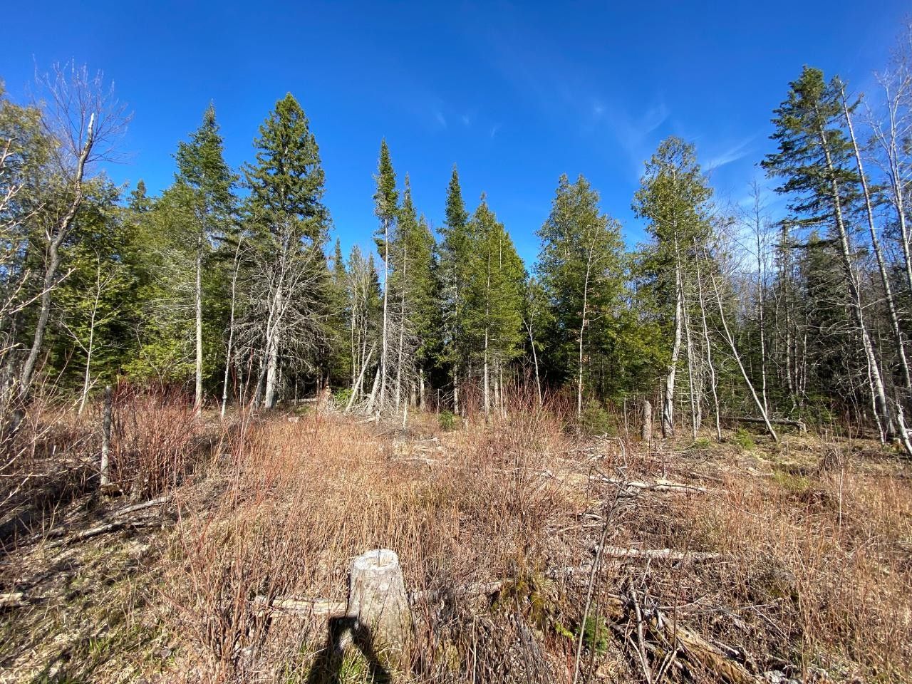 40 acres in Gogebic County, Michigan