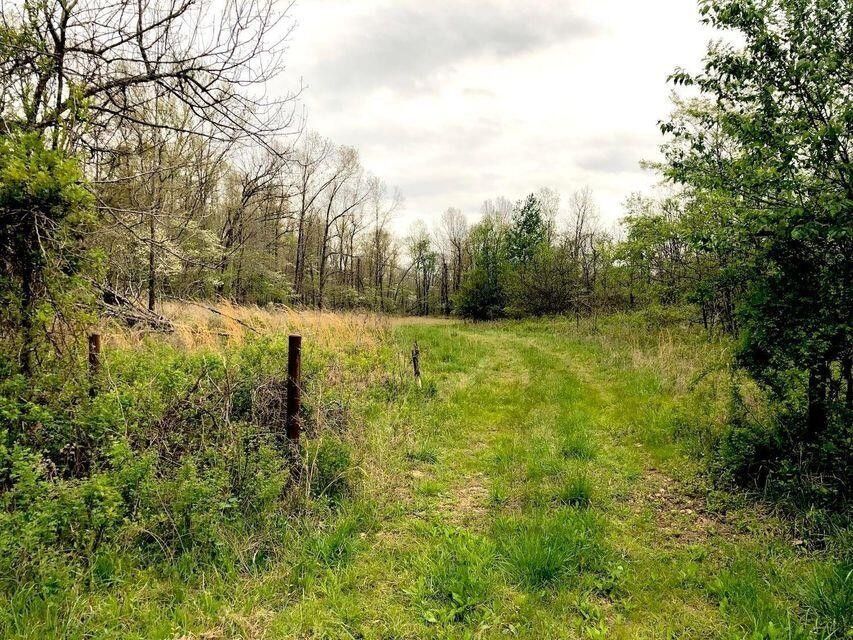 130 acres in Oregon County, Missouri