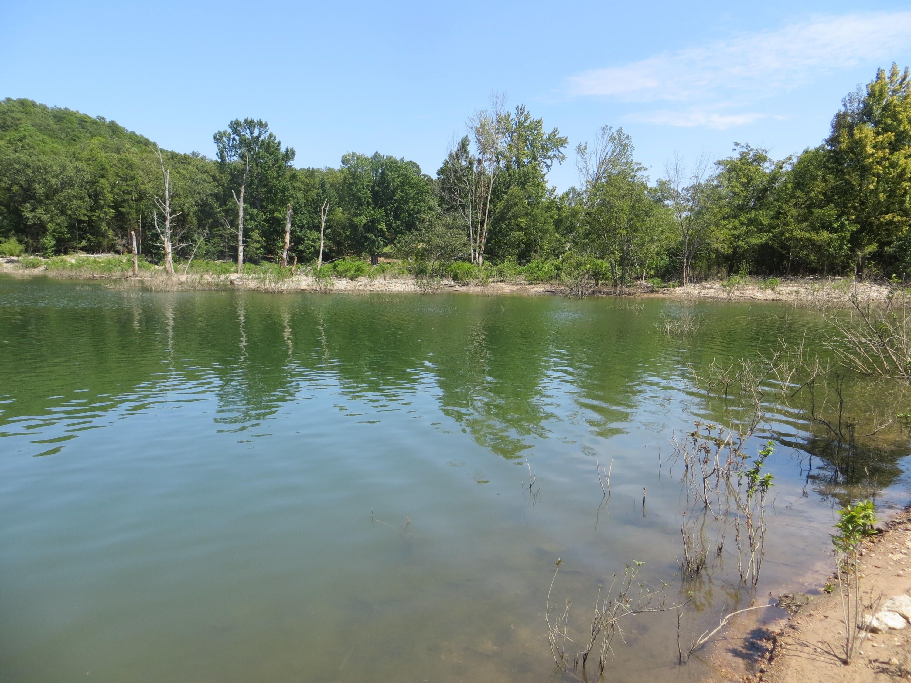 10 acres in Fulton County, Arkansas