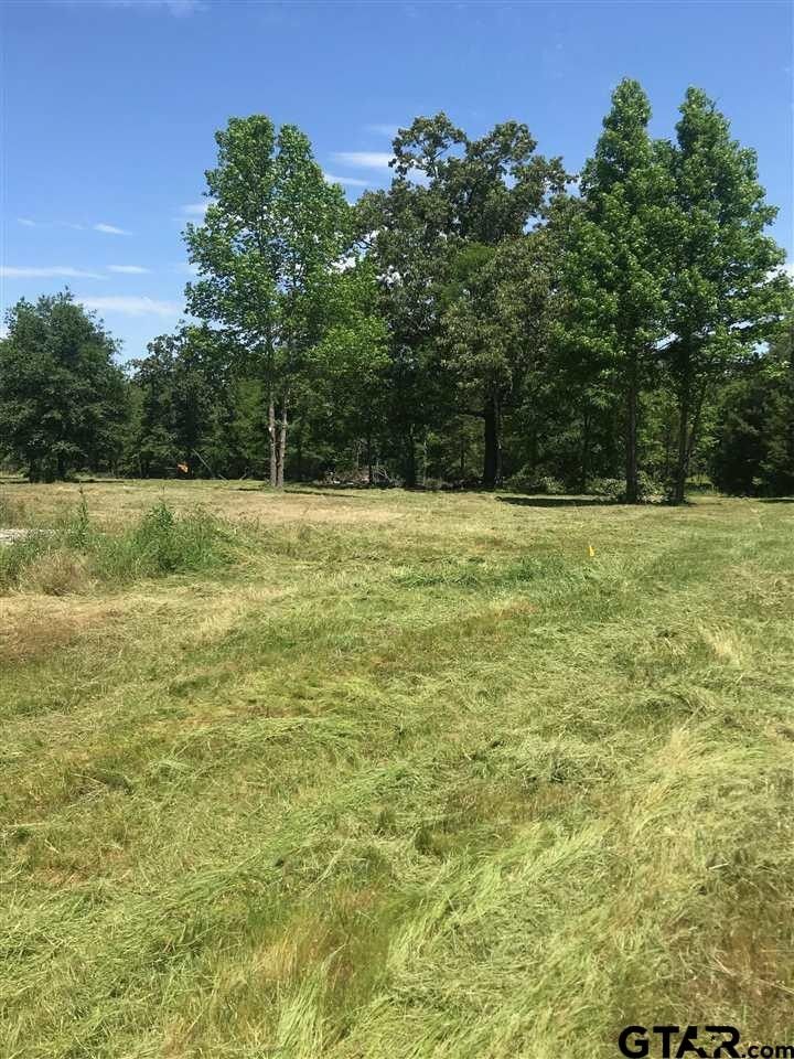 7 acres in Wood County, Texas