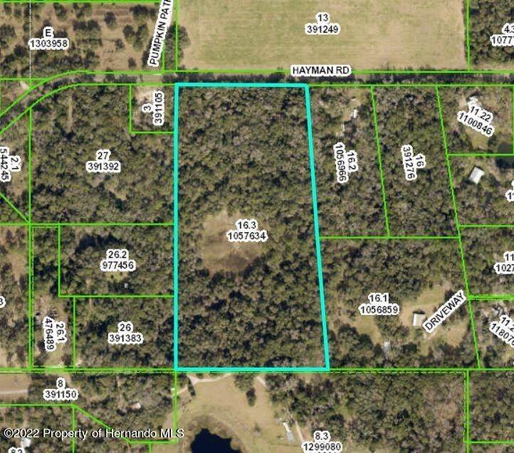 19 acres in Hernando County, Florida