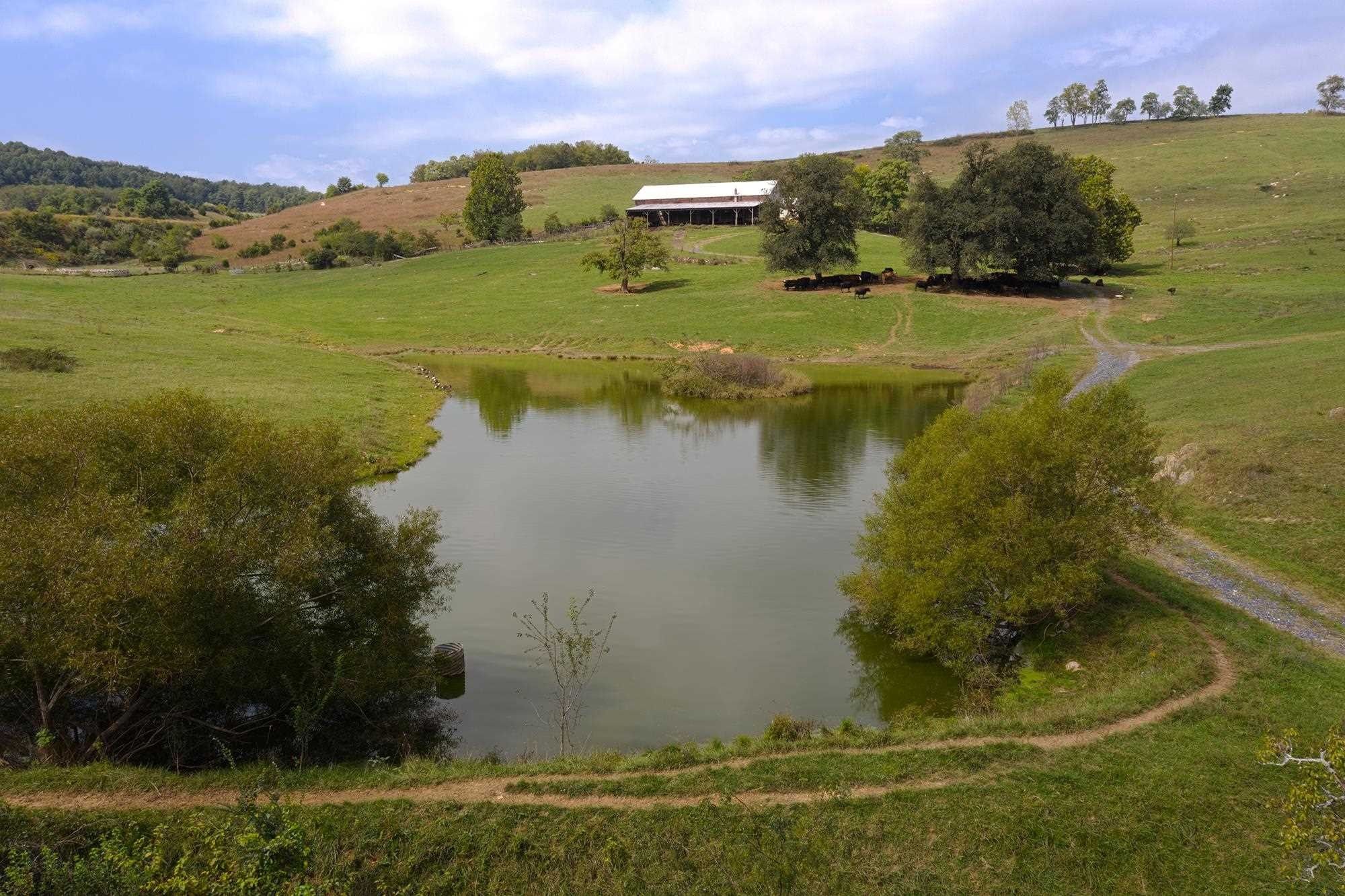 160.47 acres in Staunton City County, Virginia