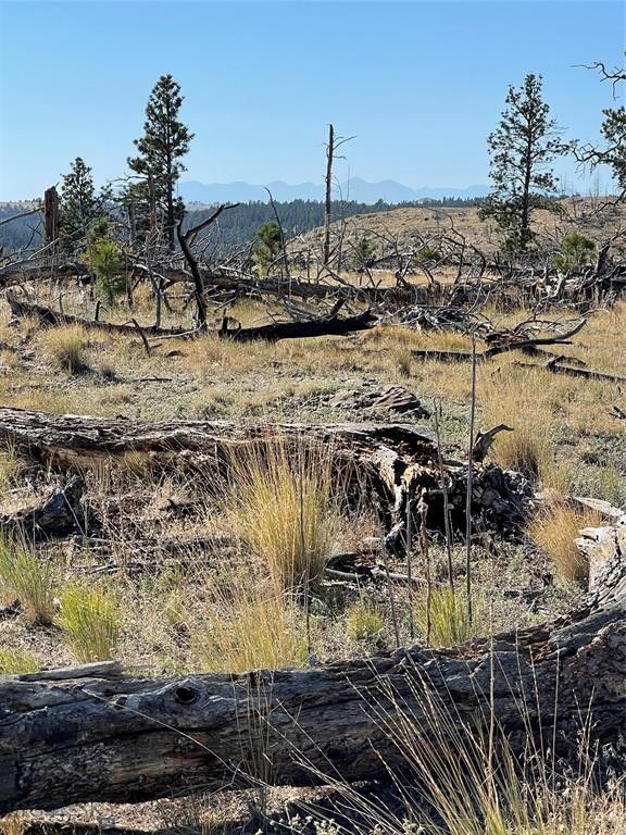 20 acres in Sweet Grass County, Montana