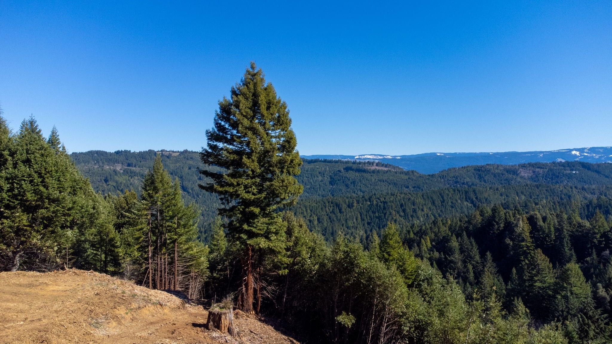 80 acres in Humboldt County, California