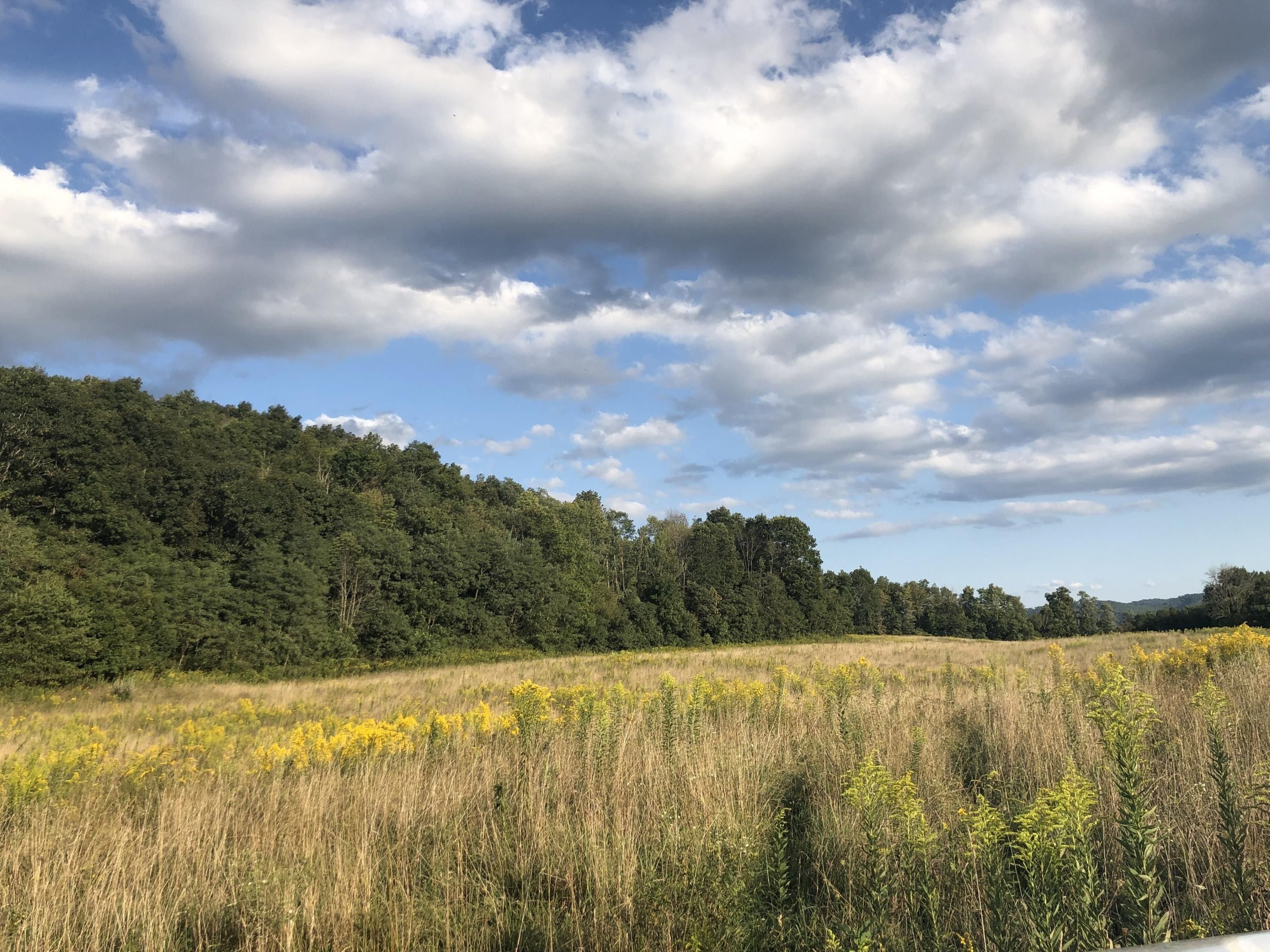 71 acres in Pocahontas County, West Virginia
