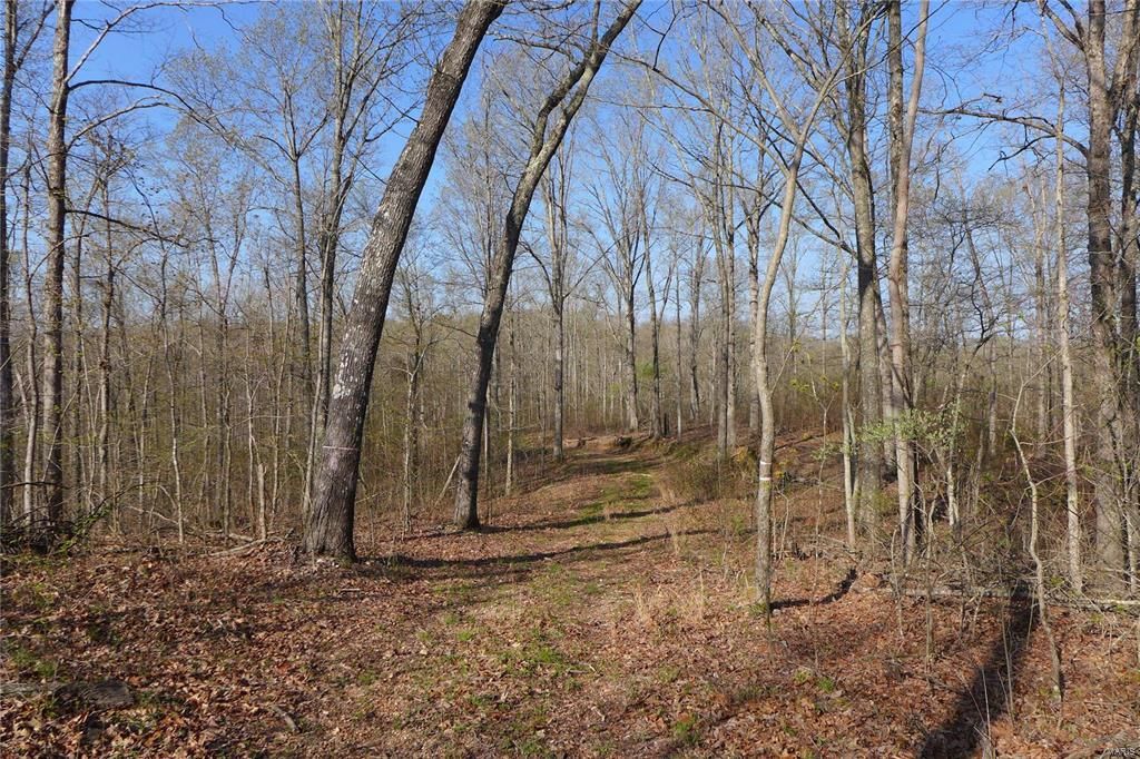 1,168 acres in Madison County, Missouri