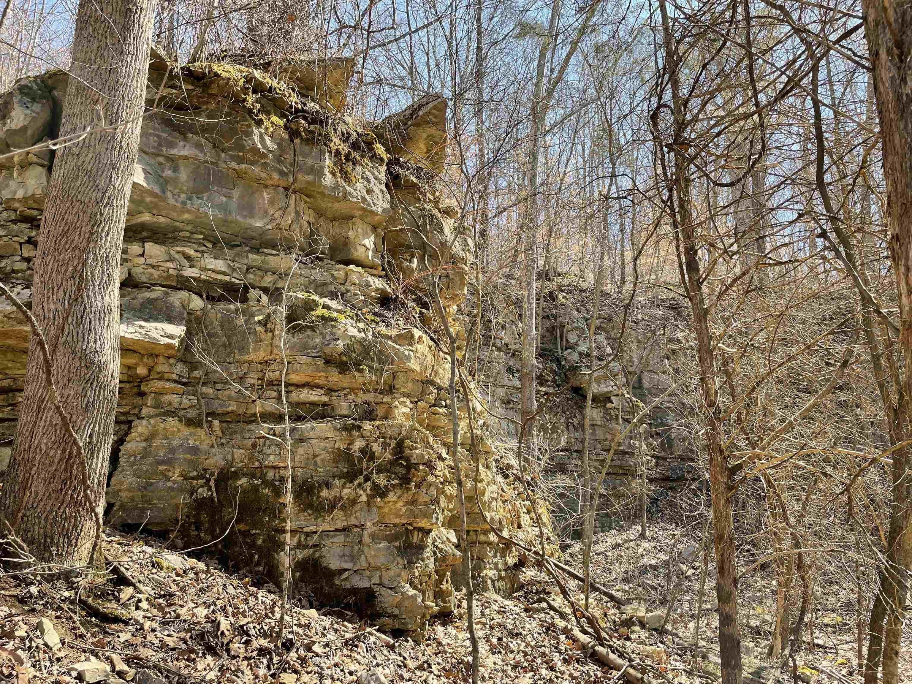 40 acres in Lawrence County, Indiana