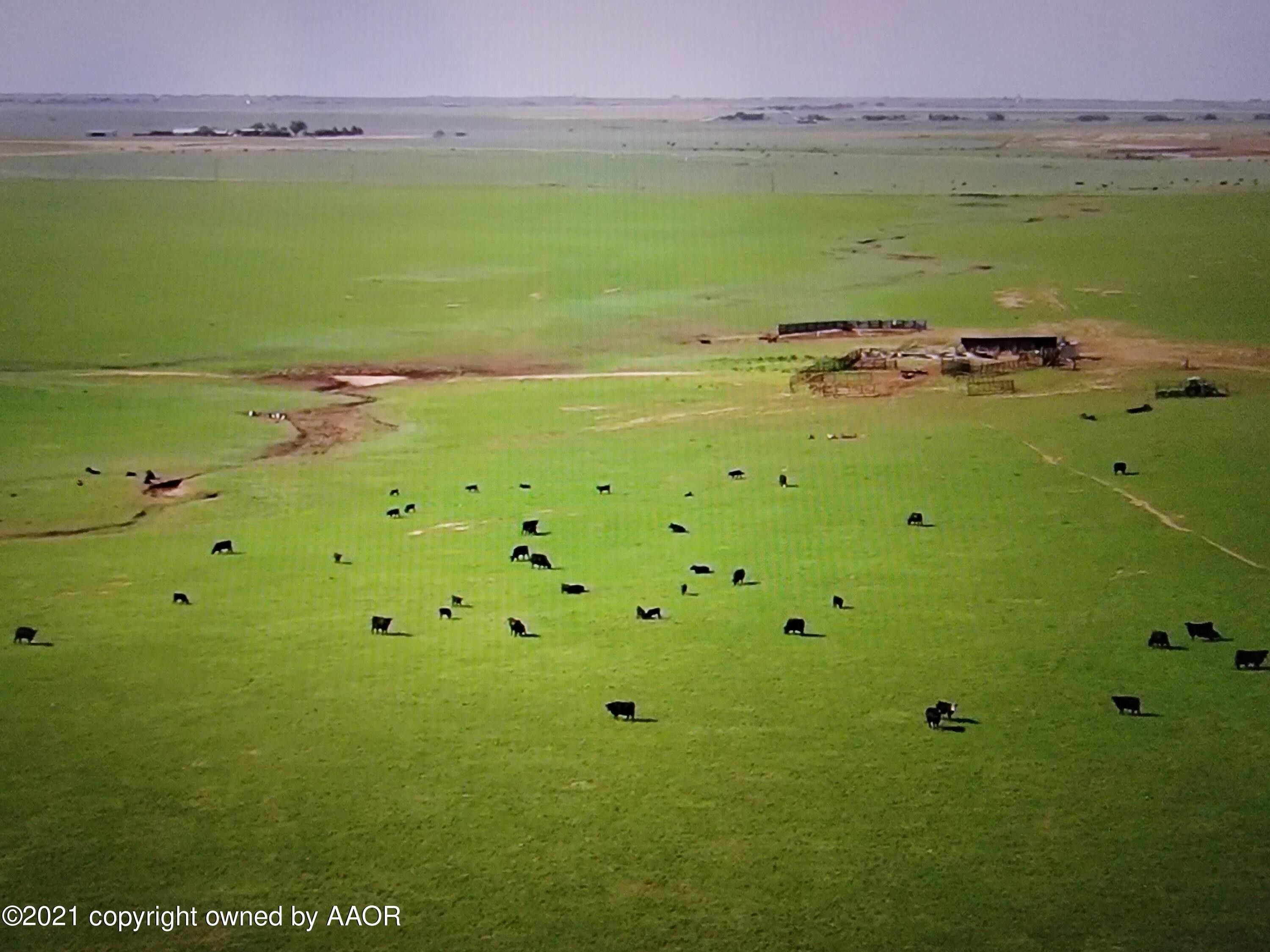 355.61 acres in Randall County, Texas