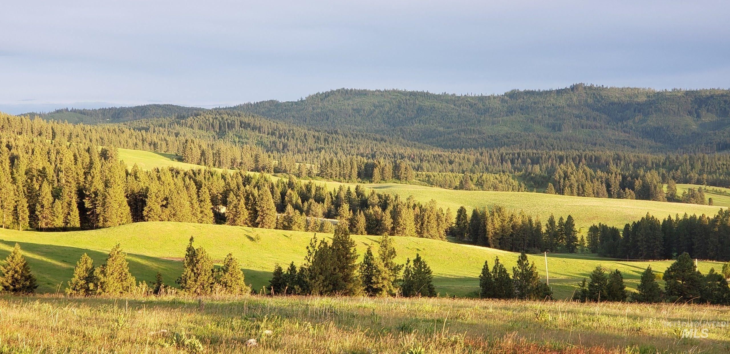 12 acres in Latah County, Idaho