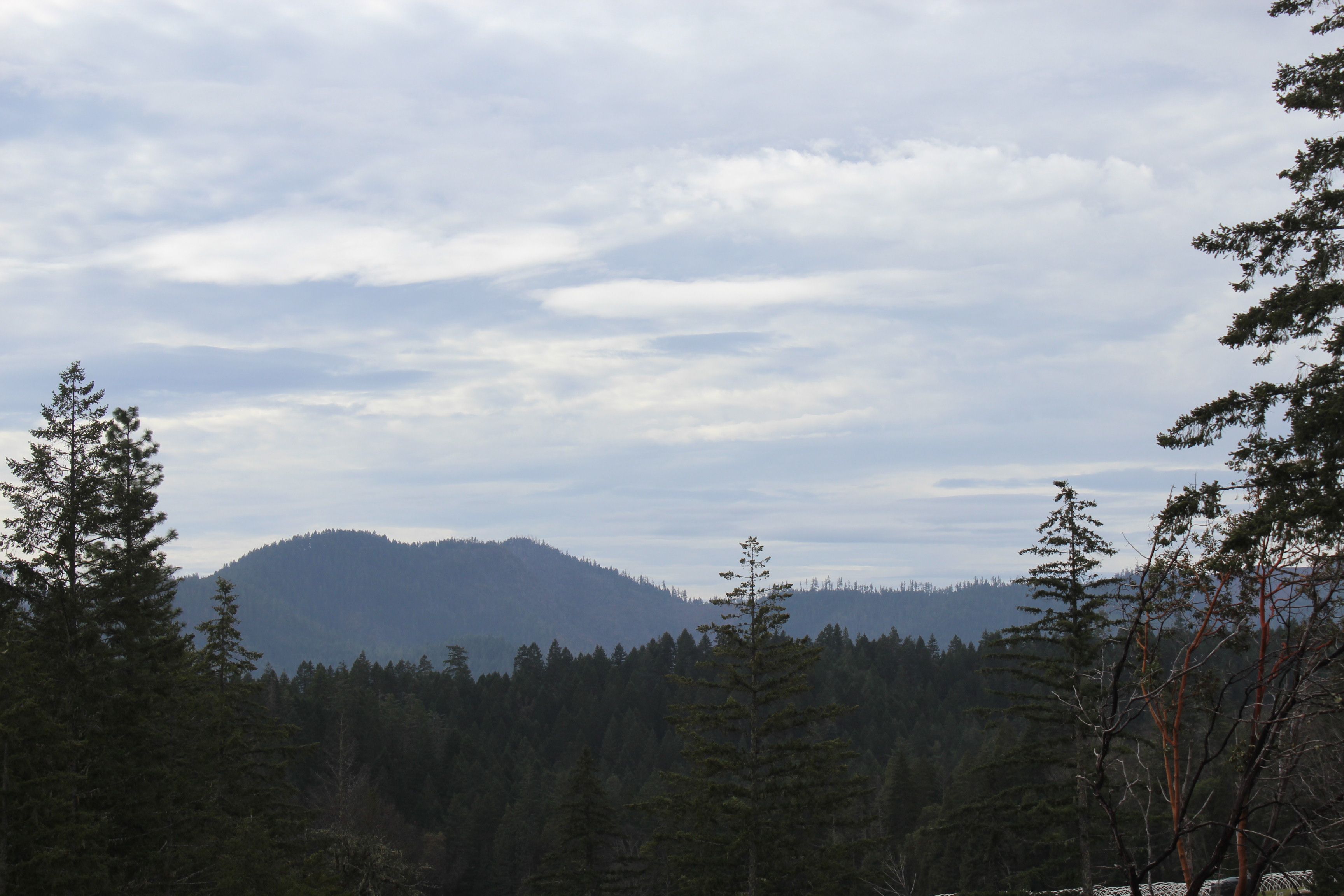 240 acres in Josephine County, Oregon