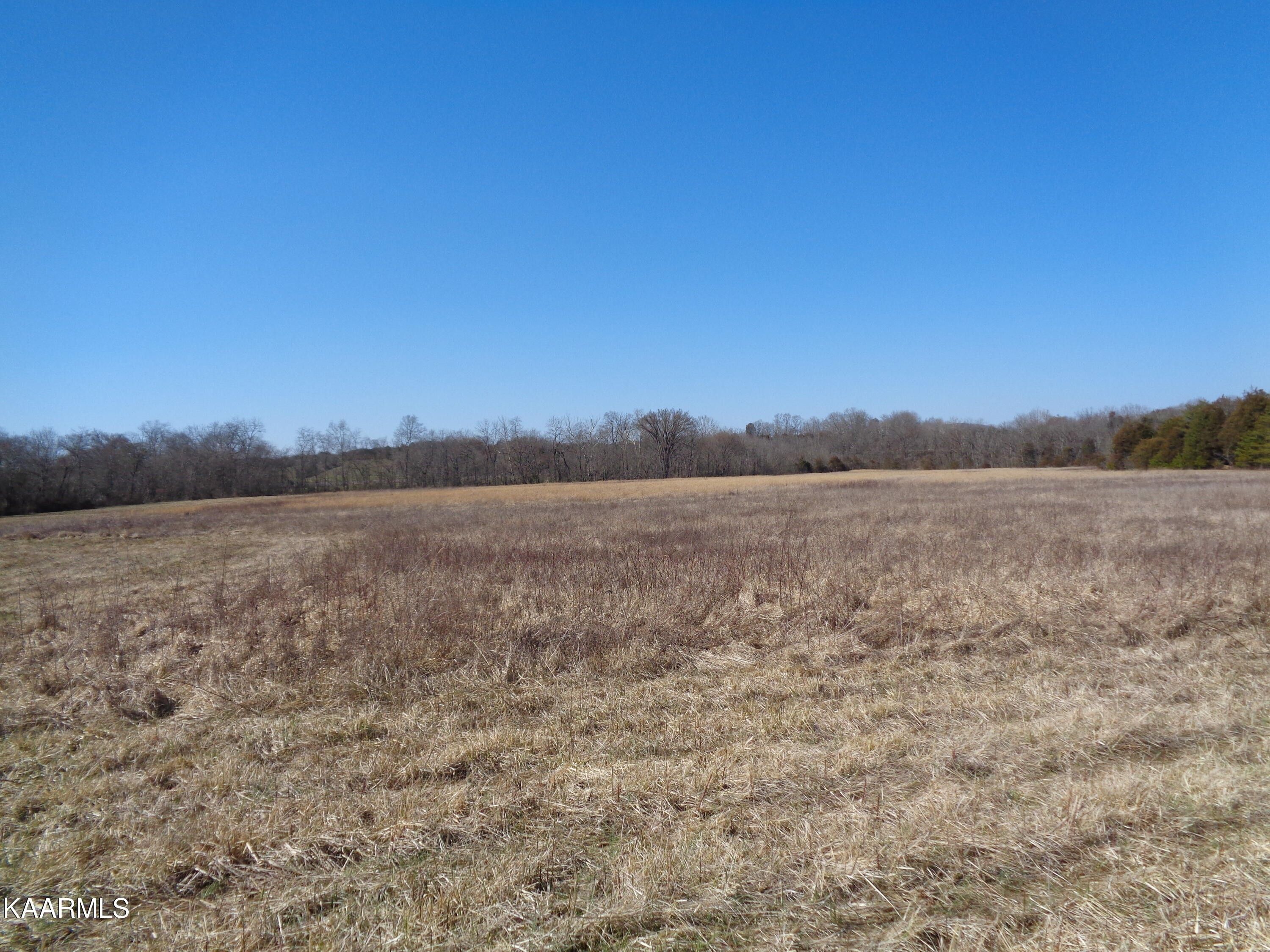 51 acres in Hamblen County, Tennessee