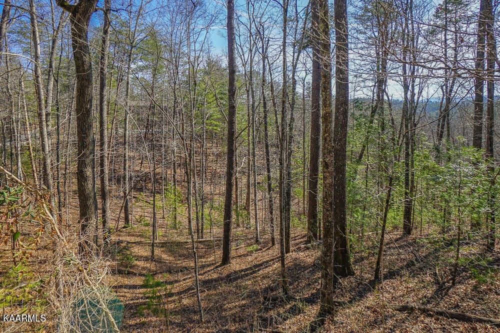 5.41 acres in Blount County, Tennessee