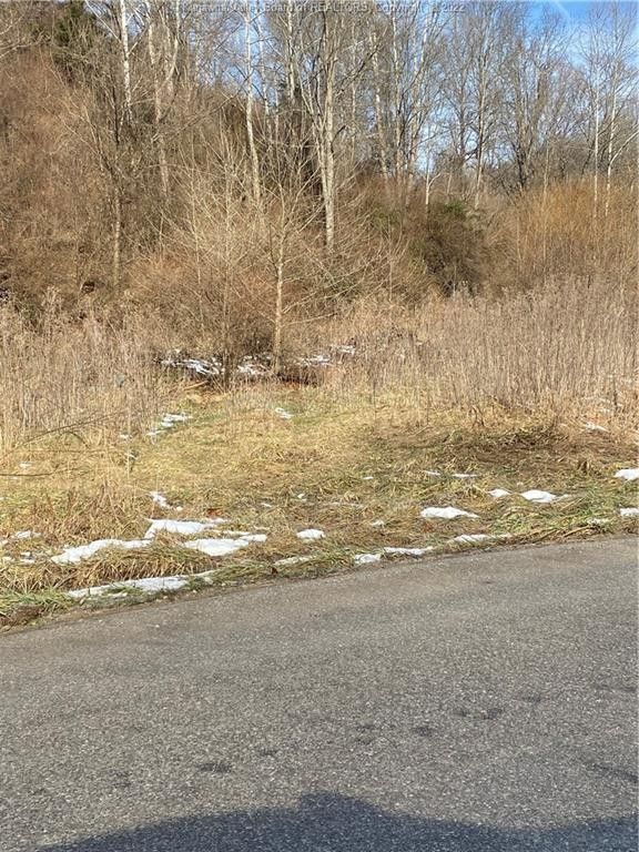 81 acres in Lincoln County, West Virginia