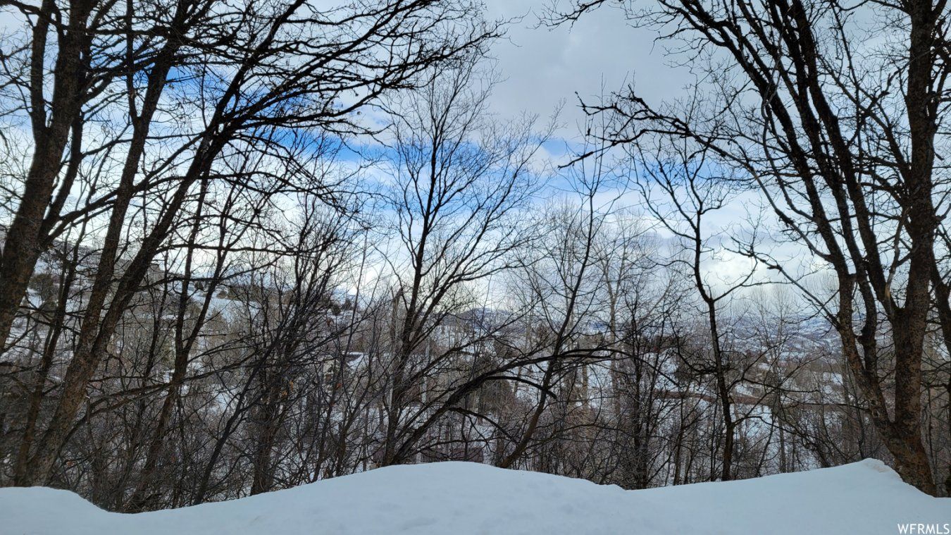 4.51 acres in er County, Utah