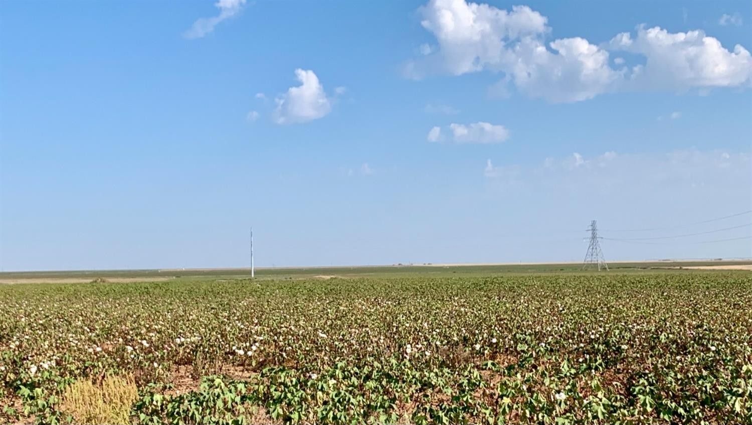 10.01 acres in Lynn County, Texas