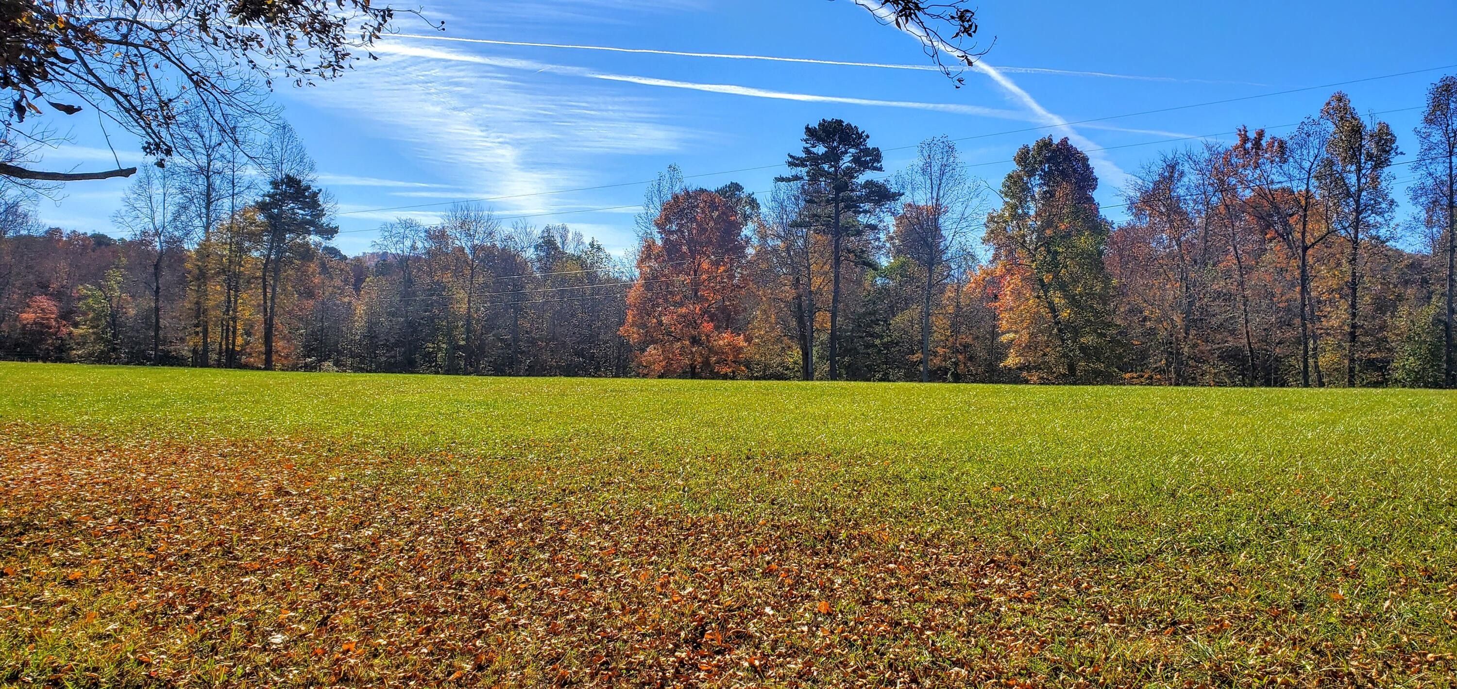 8 acres in Whitley County, Kentucky