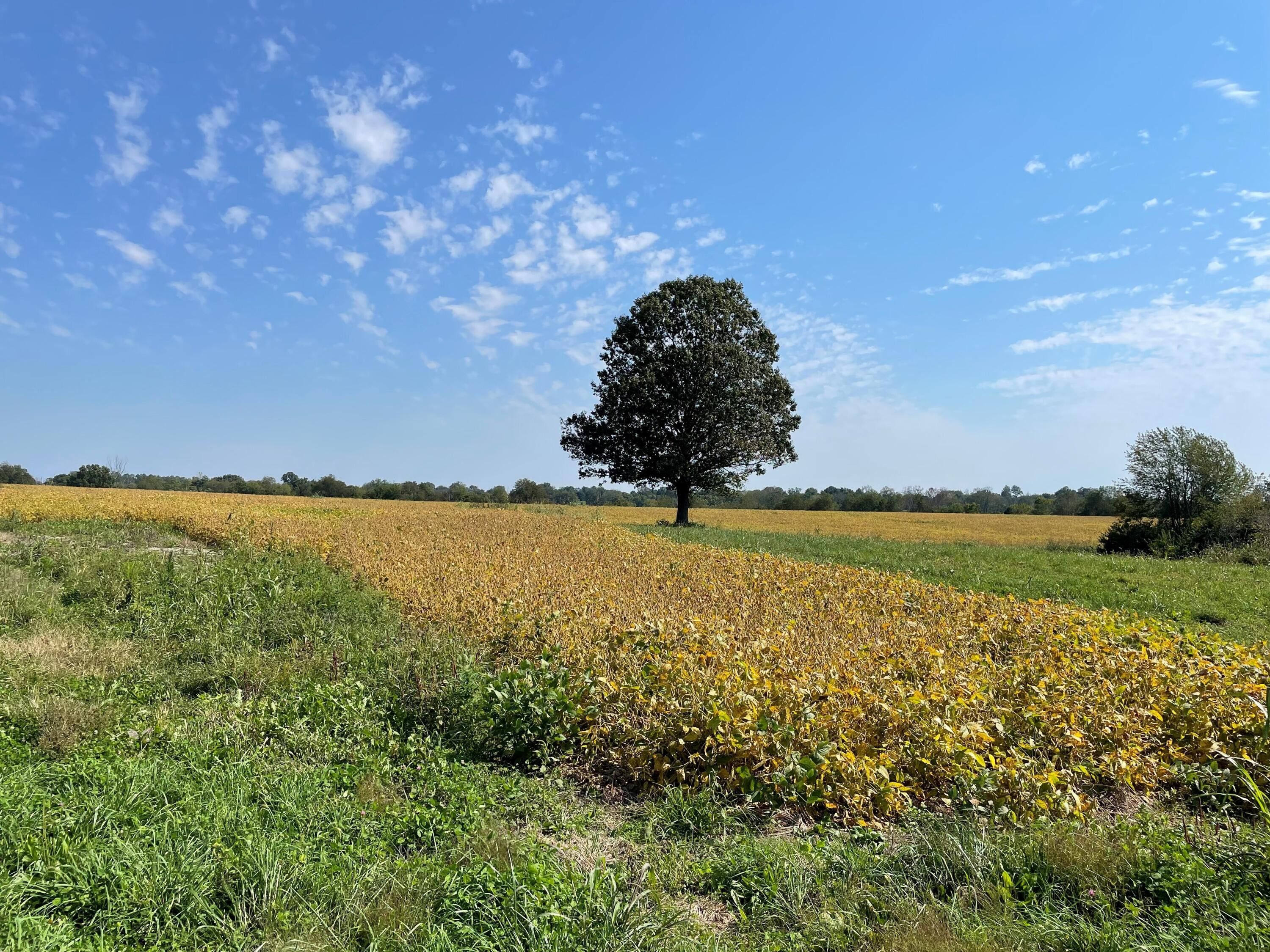 147.83 acres in Clark County, Kentucky