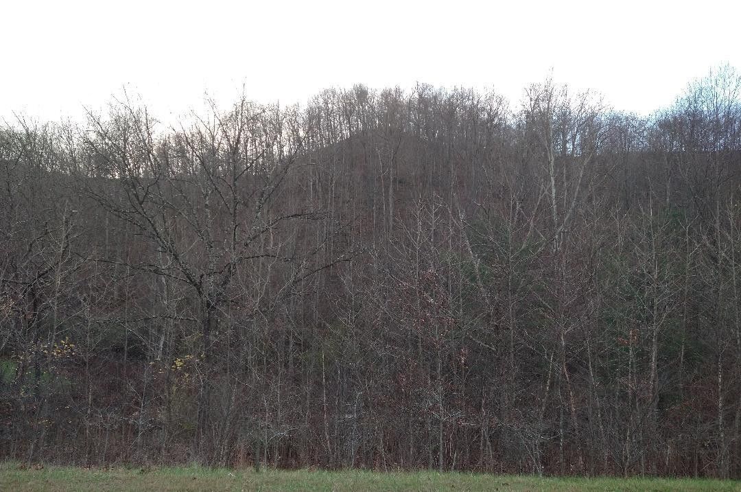45 acres in Rowan County, Kentucky