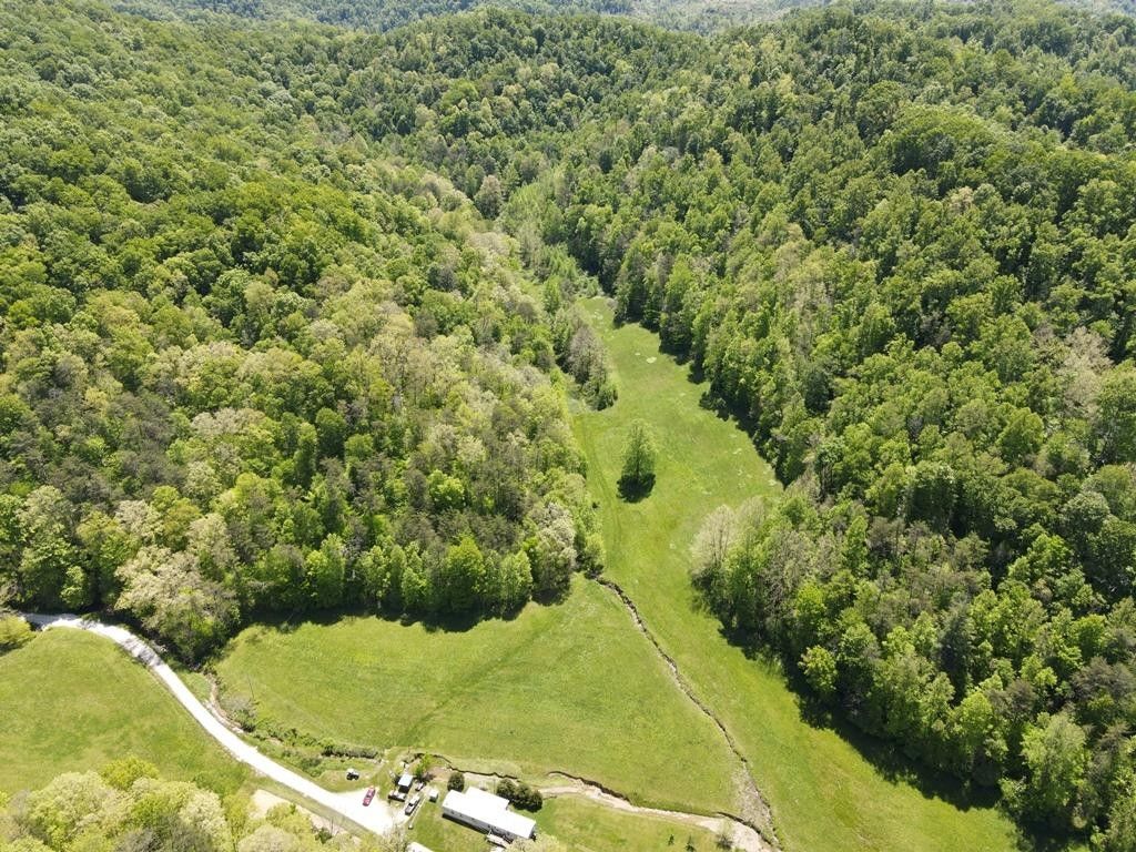 80 acres in Wolfe County, Kentucky