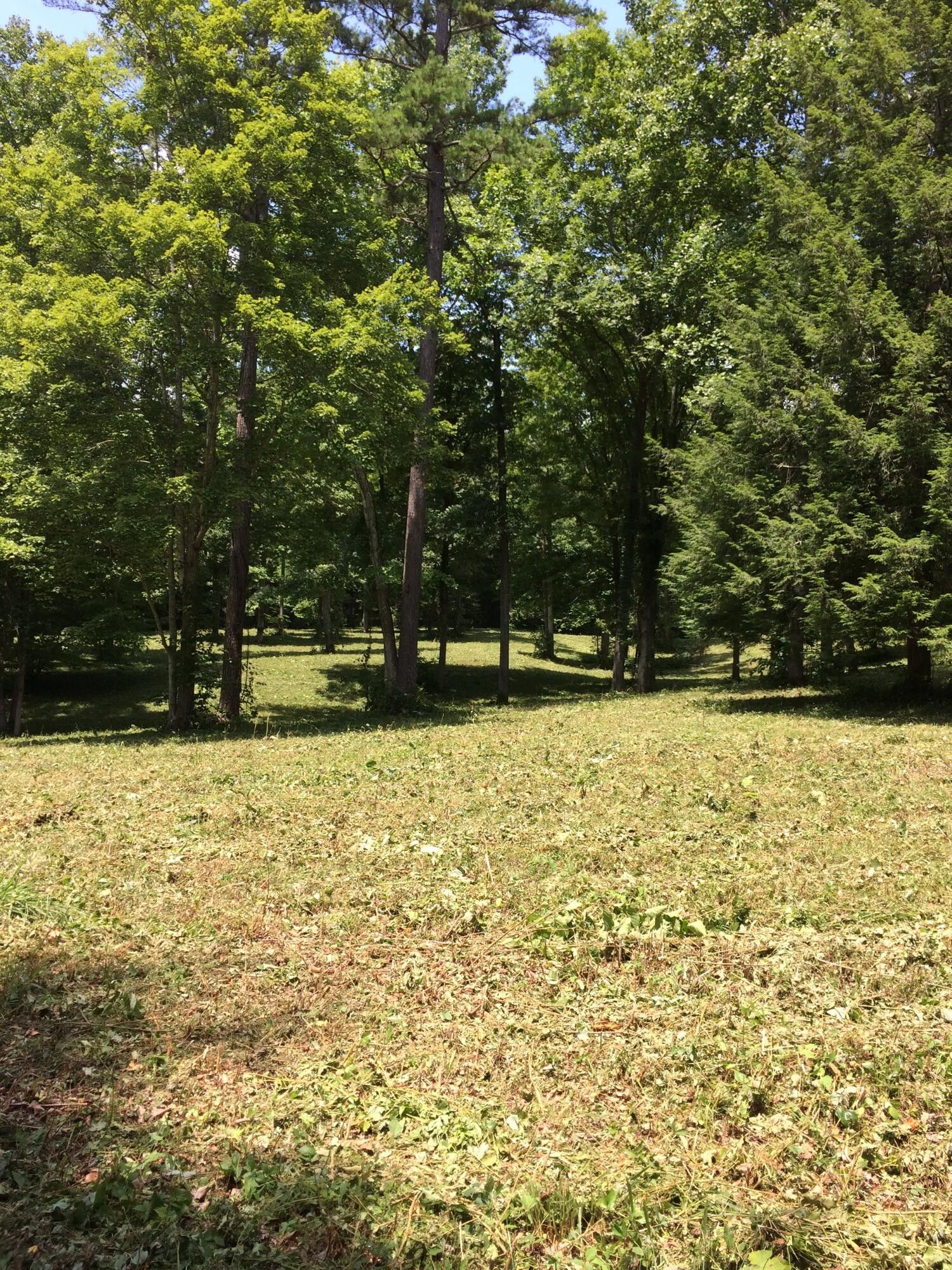 10 acres in Wayne County, Kentucky