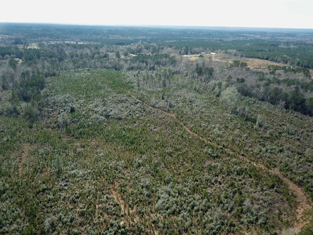 62 acres in Marion County, Mississippi