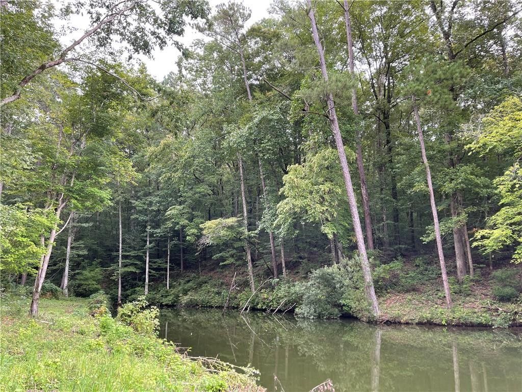 5 acres in Lee County, Alabama