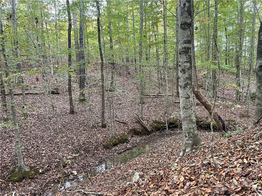 19.34 acres in Lee County, Alabama