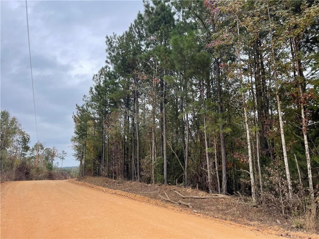 10 acres in Lee County, Alabama