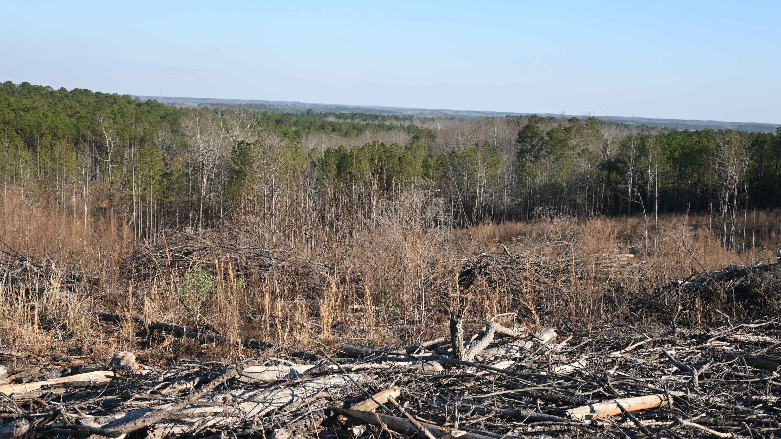 40 acres in Coosa County, Alabama