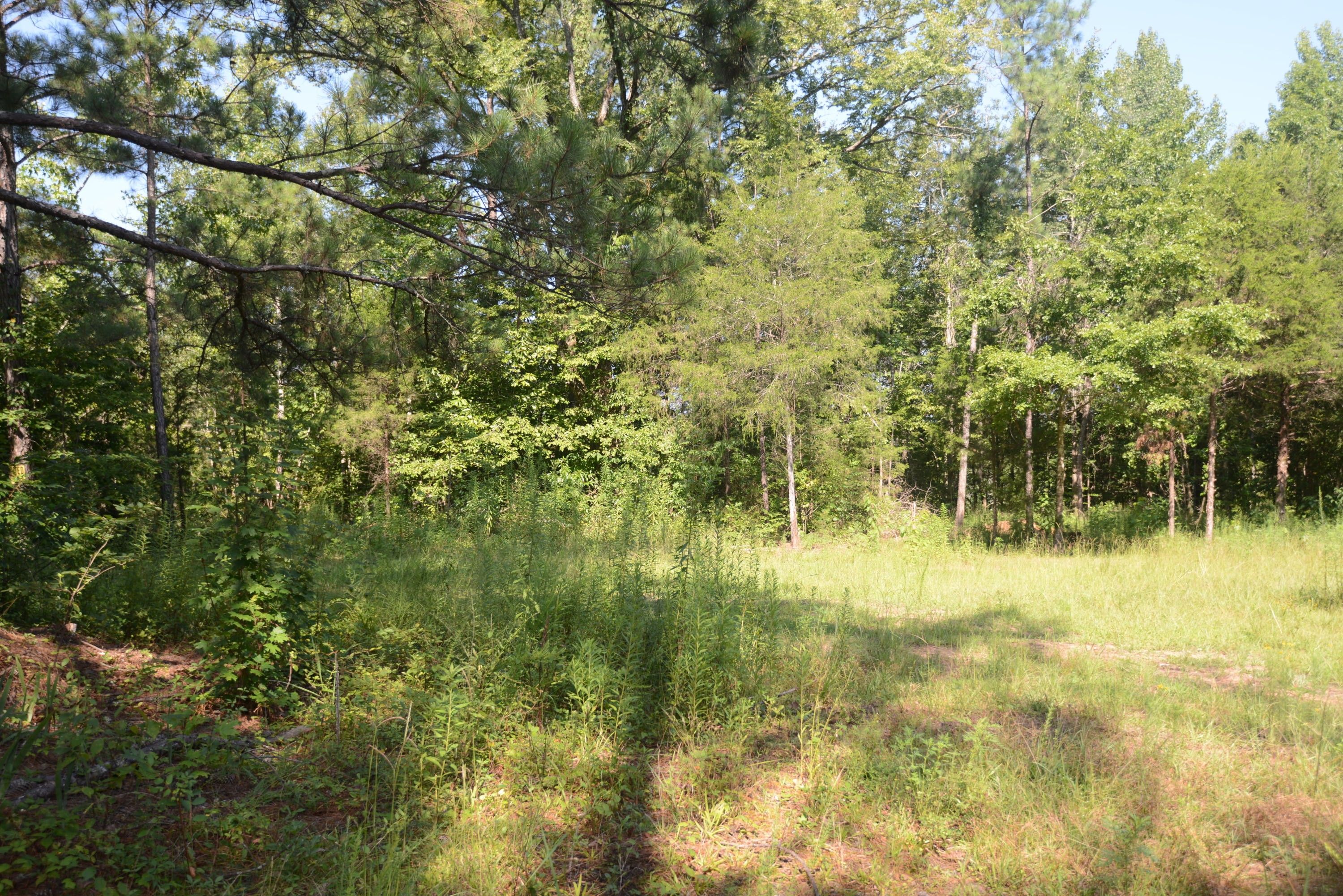 40 acres in Coosa County, Alabama
