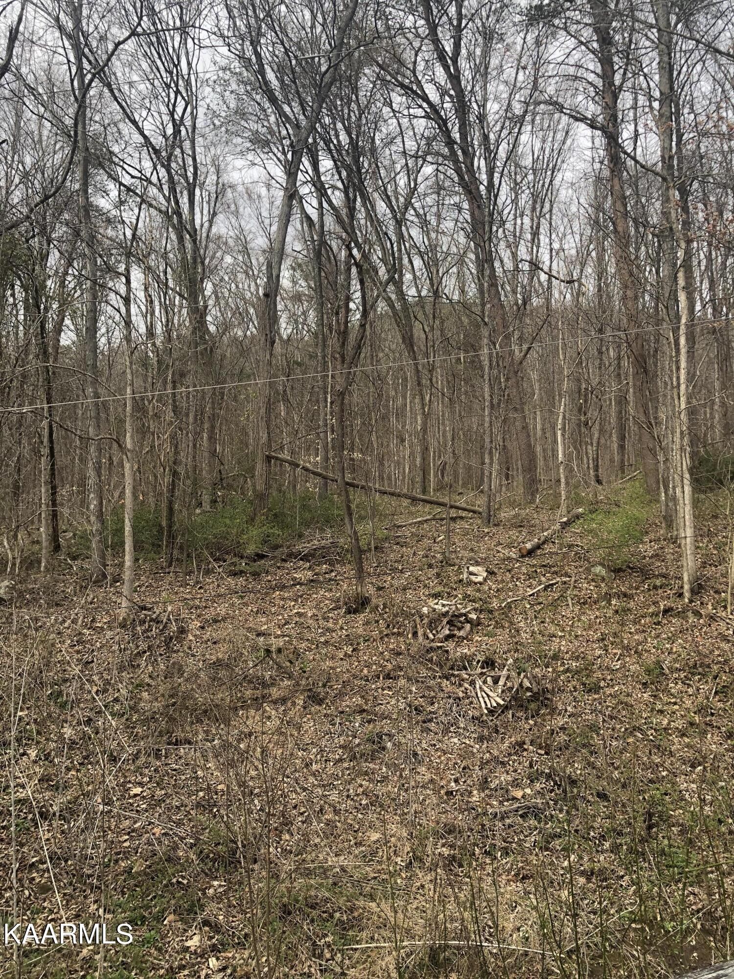 51 acres in Union County, Tennessee