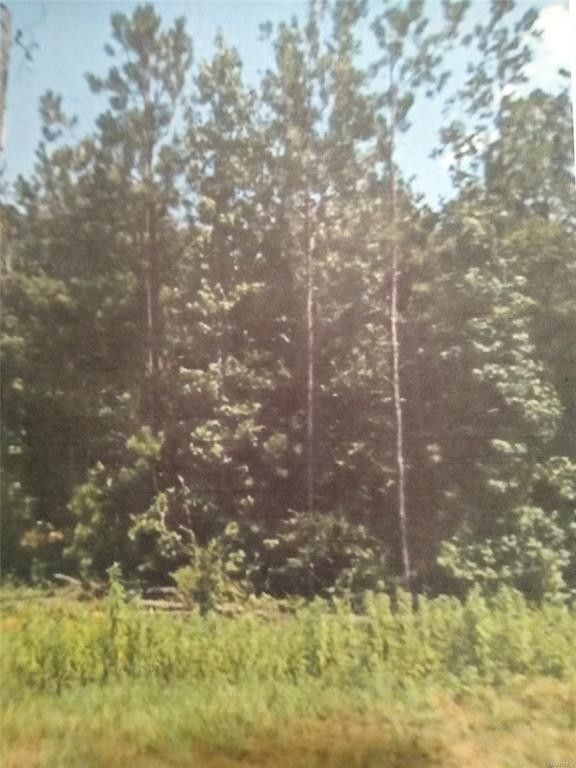 2 acres in Barbour County, Alabama