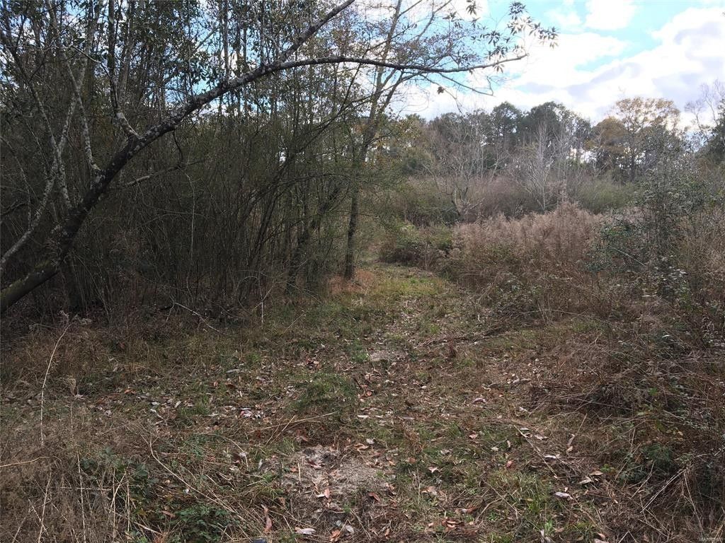 46 acres in Coffee County, Alabama