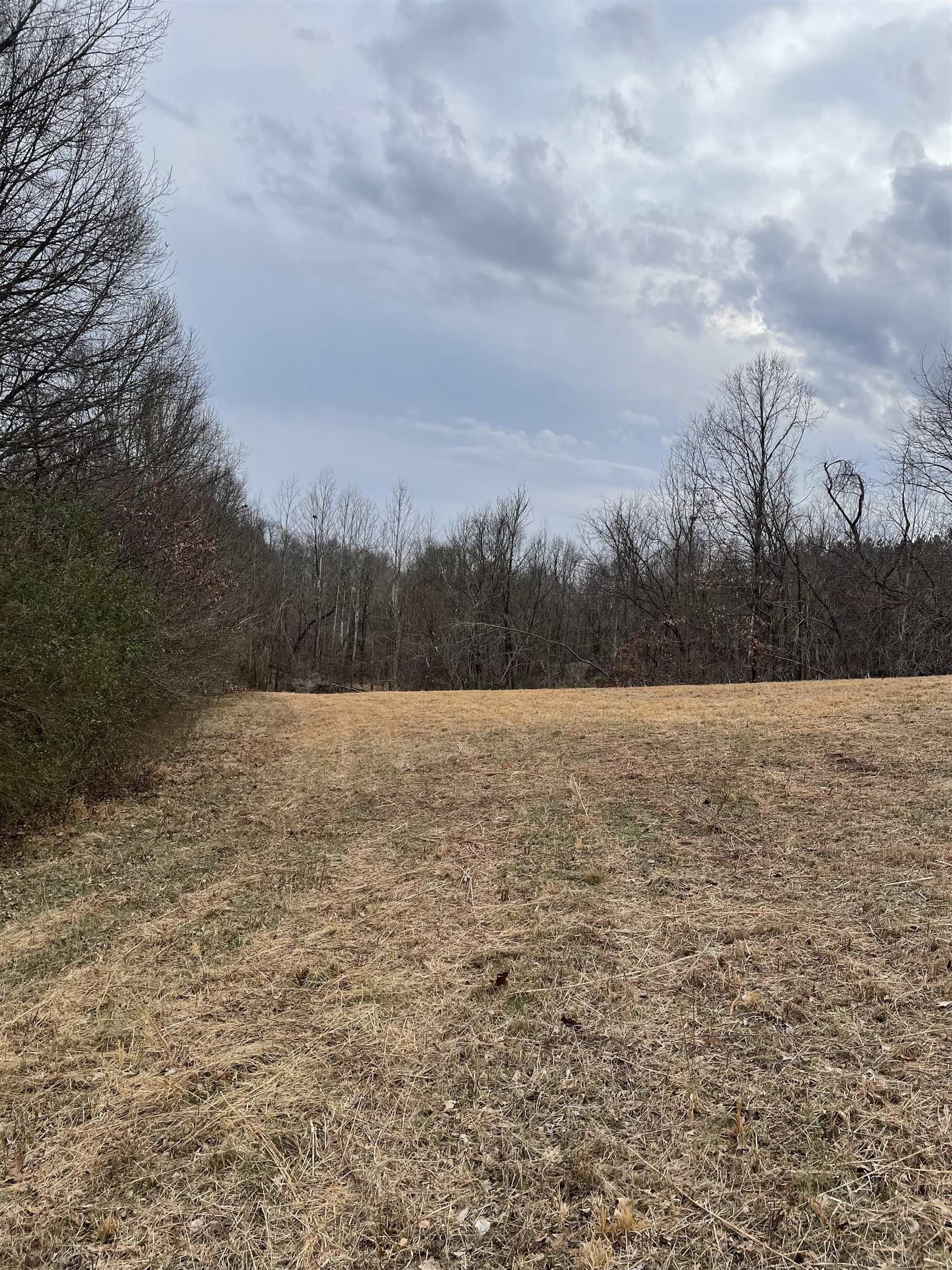 23 acres in Lauderdale County, Tennessee