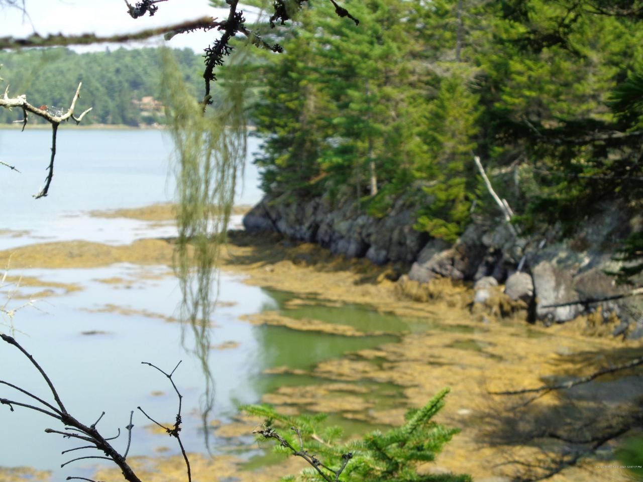 6.3 acres in Hancock County, Maine