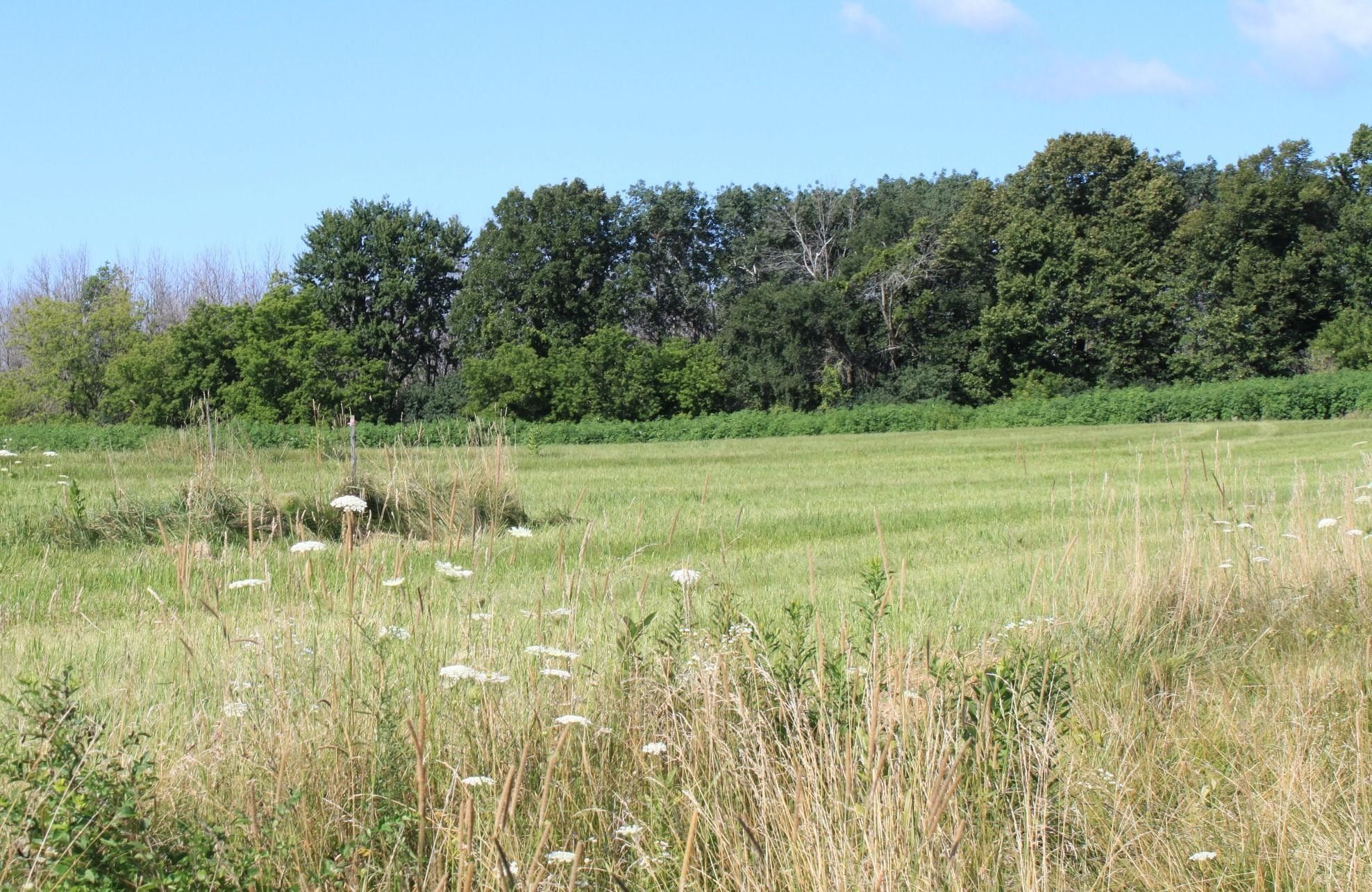 4 acres in Ozaukee County, Wisconsin