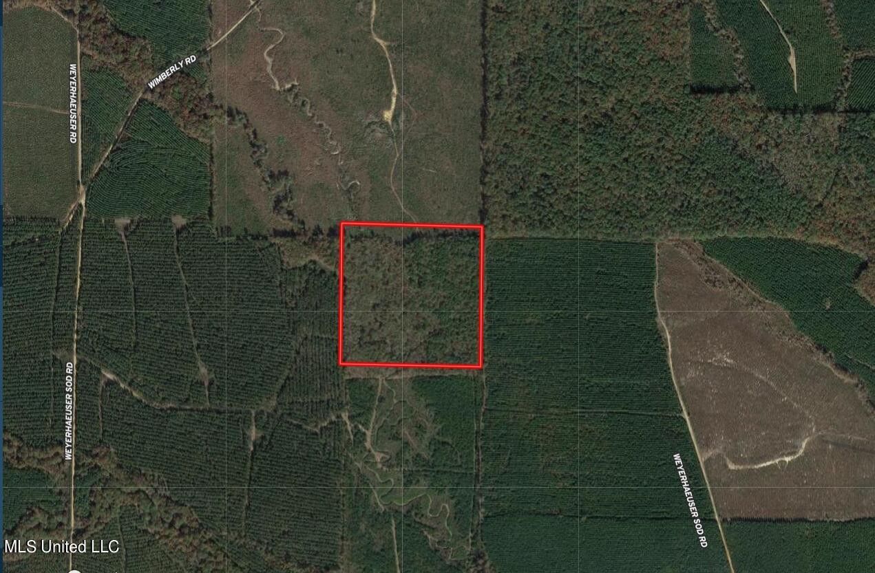 40 acres in Kemper County, Mississippi
