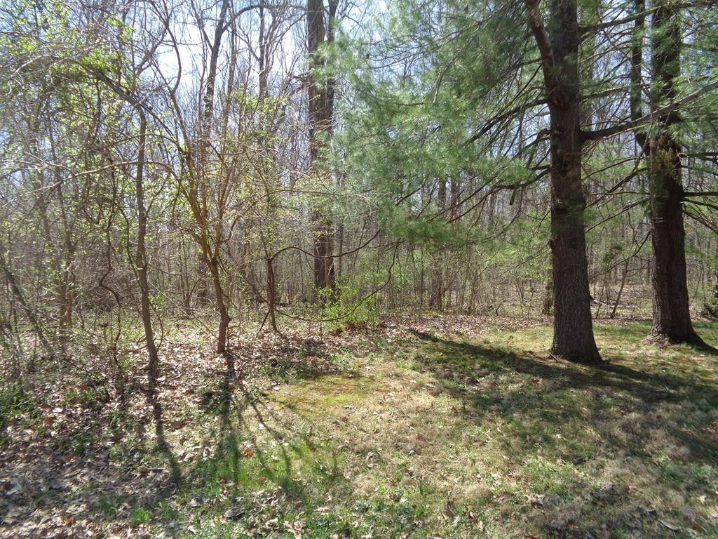 40.19 acres in Hopkins County, Kentucky