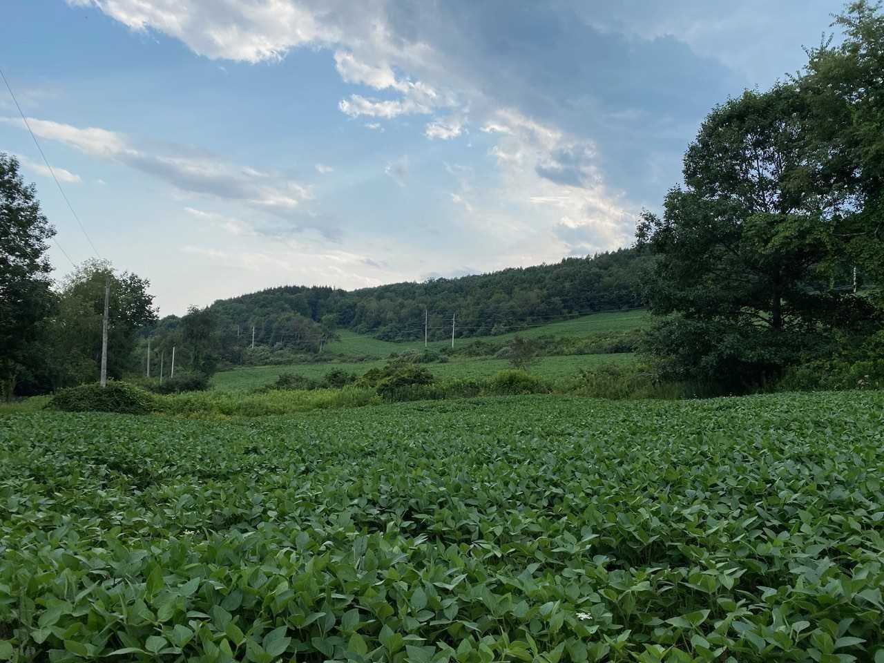 174.72 acres in Dutchess County, New York