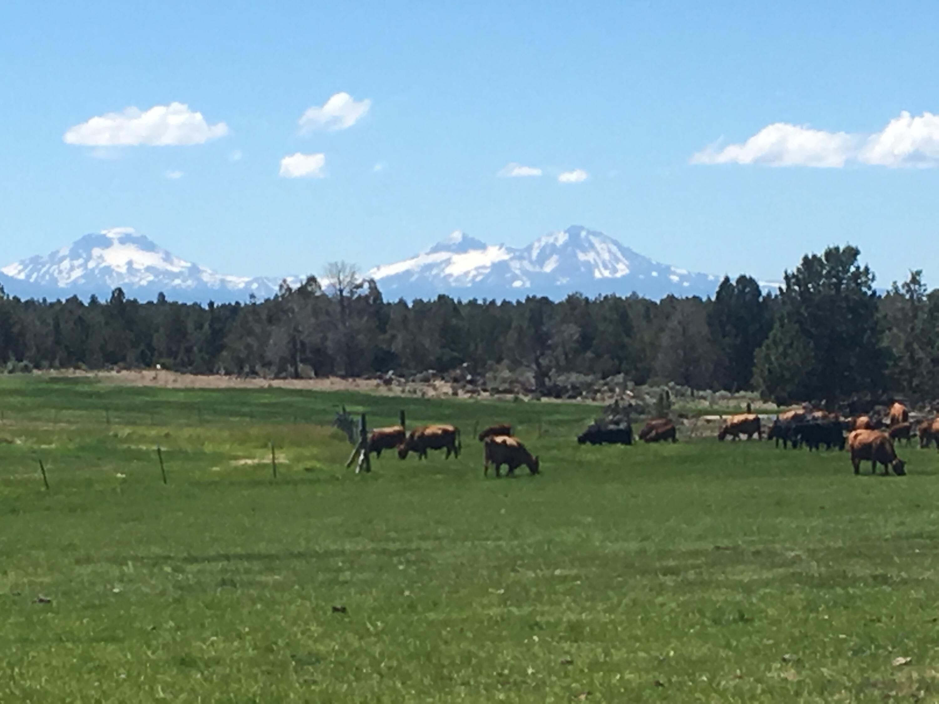 149 acres in Crook County, Oregon