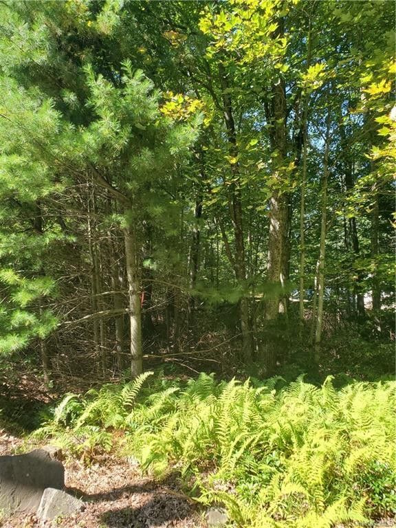 82 acres in Ulster County, New York