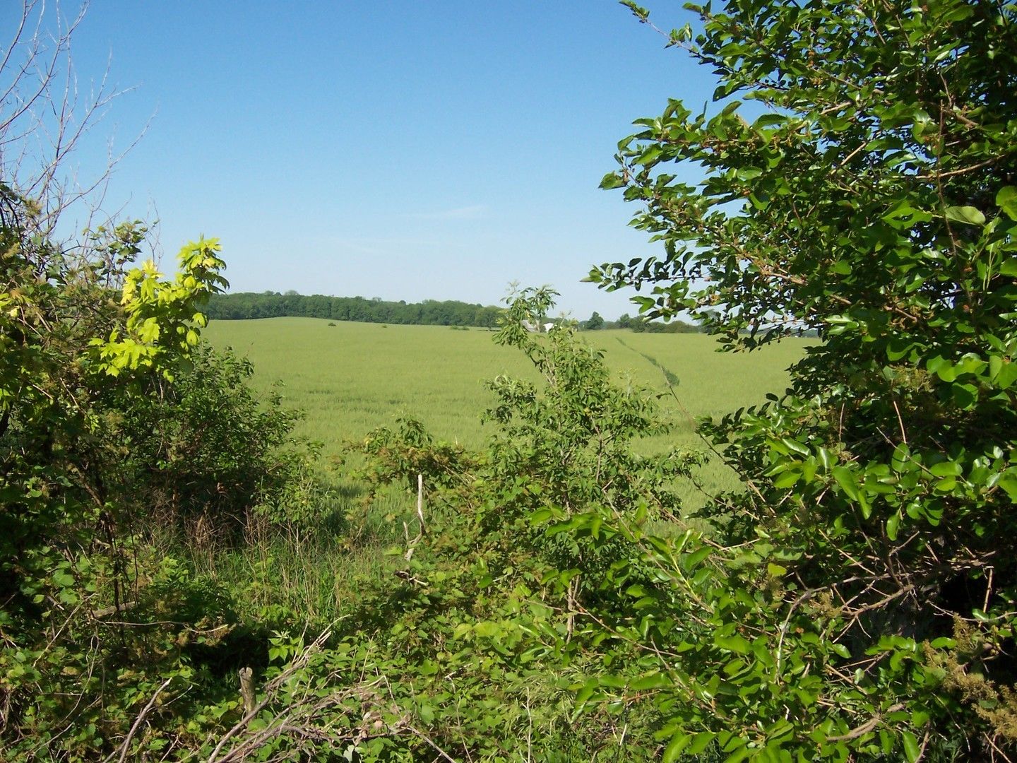 180 acres in Kane County, Illinois
